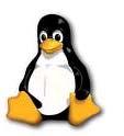 Why Linux on System z?