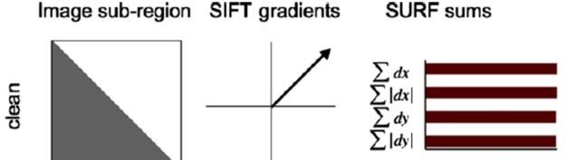 Robustness of SURF SIFT vs.