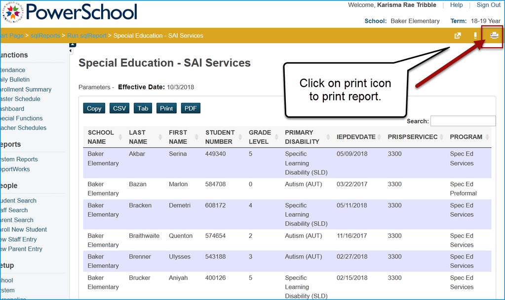Use the print icon to print page(s) of the Special Education-SAI Services