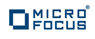 Micro Focus Enterprise