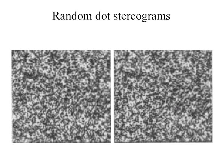 Random Dot Stereo-grams Depth can be recovered by triangulation Prerequisite: Finding