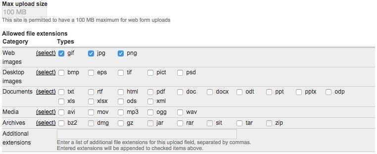 c. File: You can limit the file types and file size that users may attach as part of their webform submissions. The Max upload size is set to 100 MB.