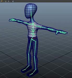 Binding: By using the bind tool, you can choose to connect (bind) the skeleton to the characters 3D body. By using smooth binding, it creates influence over different areas on the model.