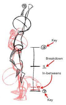 Breakdown poses: This is the pose between two keys in the animation process. Elbow bending, timing eases and rotation paths are defined in breakdown poses.