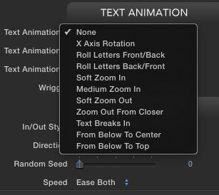There are 3 Text Animation drop down menus to choose from, when used in combination will