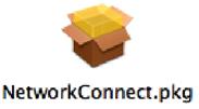 3) Download the Network Connect application Use the web browser to download the Network Connect application directly from https://secure.