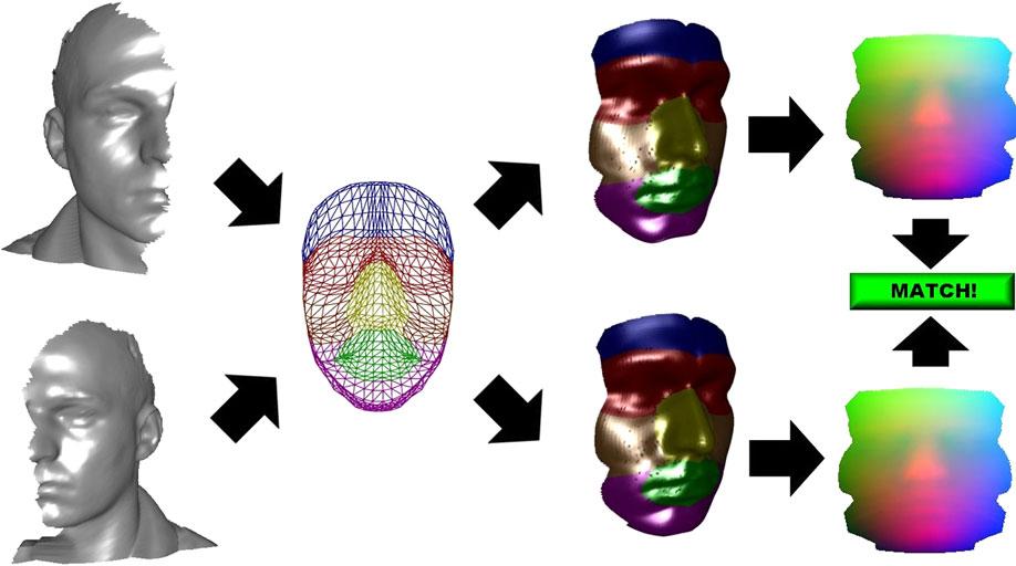 3 Interpose matching using the proposed method (left to right): Opposite side facial scans with extensive missing data, Annotated Face Model (AFM), resulting fitted AFM of each scan (facial symmetry