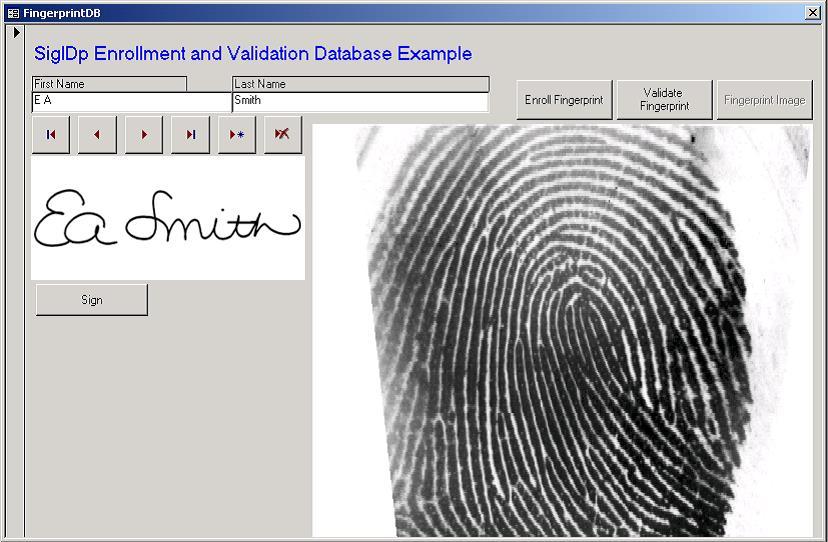 Once captured, your fingerprint will be displayed along with your signature and name to form a complete record (shown below). The Code First we will look at the code behind sigidp_demo.mdb.