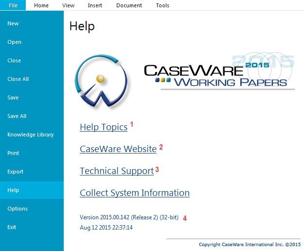 CaseWare Website 2 Technical Support File Help >