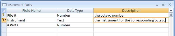 I named this table Instrument Parts and entered the field names, data types, and data definitions.