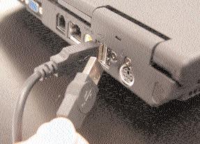 plug the mouse into one of