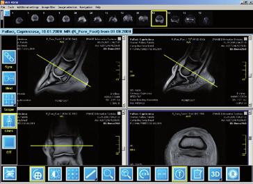 VET-VIEW screenshots A B C D E F A The Study Browser provides a clear overview of all imaging data