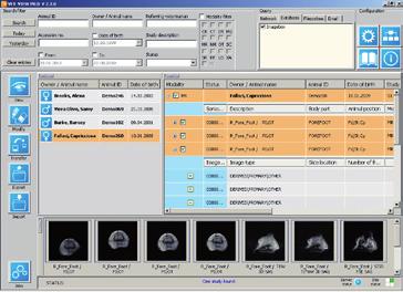 A patient root view will automatically sort all available studies by patient.