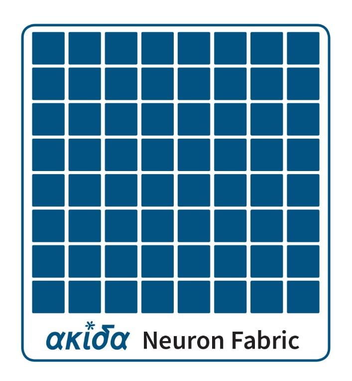 Akida Neuron Fabric Most efficient spiking neural network implementation 1.