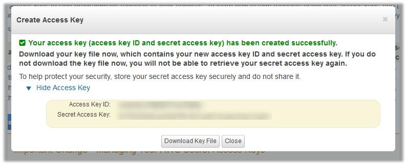 Click the Create New Access Key button.