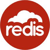 Backgroud Redis Labs Founded in 2011.