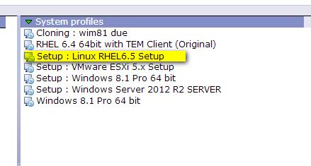 14. Check that the created profile is displayed in the list of system profiles: Linux Profile details view If the profile is selected in the Tivoli