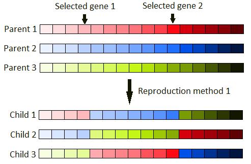 Figure 6.2 show the first and second method that can be used to generate new offspring, respectively. Off course, the same method can be used when four or more parents are selected.