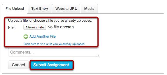 Submit a File Upload Choose the file you want to upload for your submission.