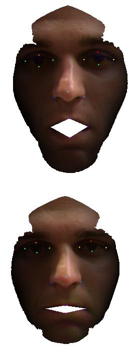 Figure 5. ShapeIndex decomposition over a face. Figure 6. ShapeIndex - shape dictionary, possible shape index values and corresponding surface shape.