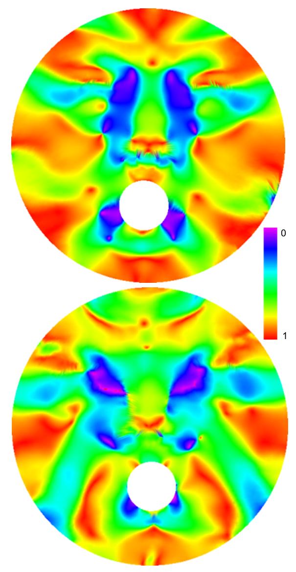 Once the pose corrected, the size of the underlying conformal map is also normalized, using the radius min-max rule, setting radius of conformal map to 50 units. Figure 8.