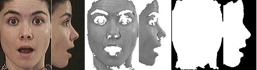 On the other hand, changes in the appearance of the eyes and eyebrows cannot be detected from the non-rigid changes in the profile contour, but are clearly observable from a frontal-view of the face.