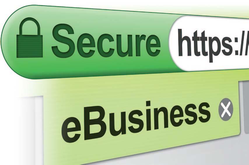 Securing Online Businesses