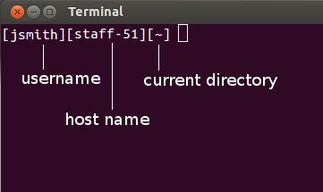 Terminal Command Line Editor Text-based access to the operating system Why is it useful?