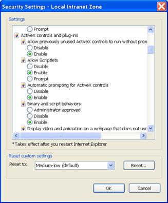 In the ActiveX controls and plug-ins section, select the following