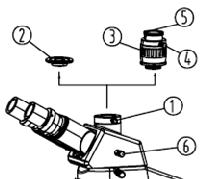 When the lever 1 is pulled out, the light beam is split with 80% to the binocular and 20% to the vertical tube/port for video and/or photographic purposes. Fig. 19 Trinocular Head Fig.