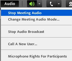 To enable your microphone so others can hear you, under the Microphone icon, select Connect My Audio.