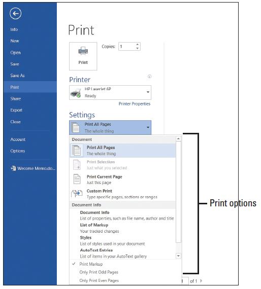 Step by Step: Set Print Options USE the document that is open from the previous exercise. 1. Click the File tab, and then click Print.