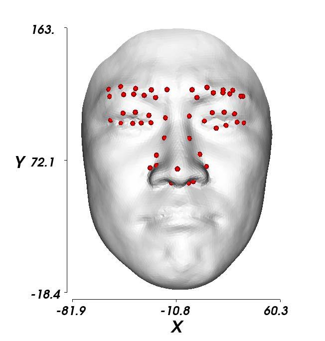 Plausible combinations of the candidate inner eye vertices and candidate nose tip vertices on Ψp are used as target points to transform the model.