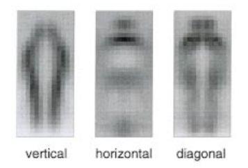 Shape based detection Haar wavelet Features Wavelet function, identifies local variations in intensity features. Haar wavelet transform is applied to the image.