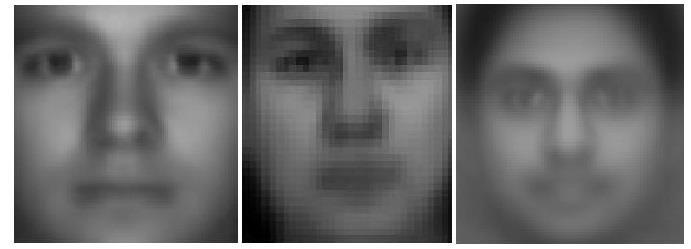 overall shape of the face and not the individual features. The statistical based approach of eigenface came after this. Most practical face recognition systems use this method.