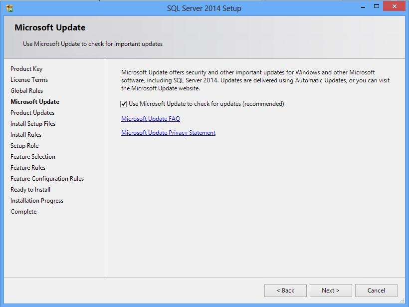 7. The Microsoft Update page will appear next if the Microsoft Update check box in Control Panel > All Control Panel Items > Windows Update > Change settings is not checked.