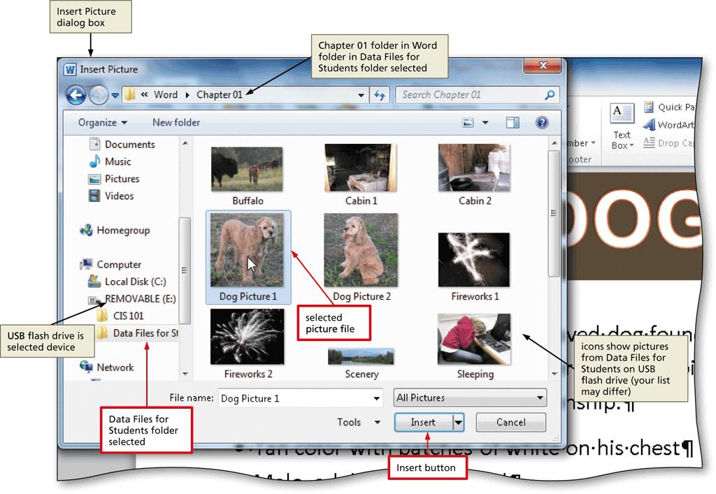 Inserting a Picture Creating, Formatting,