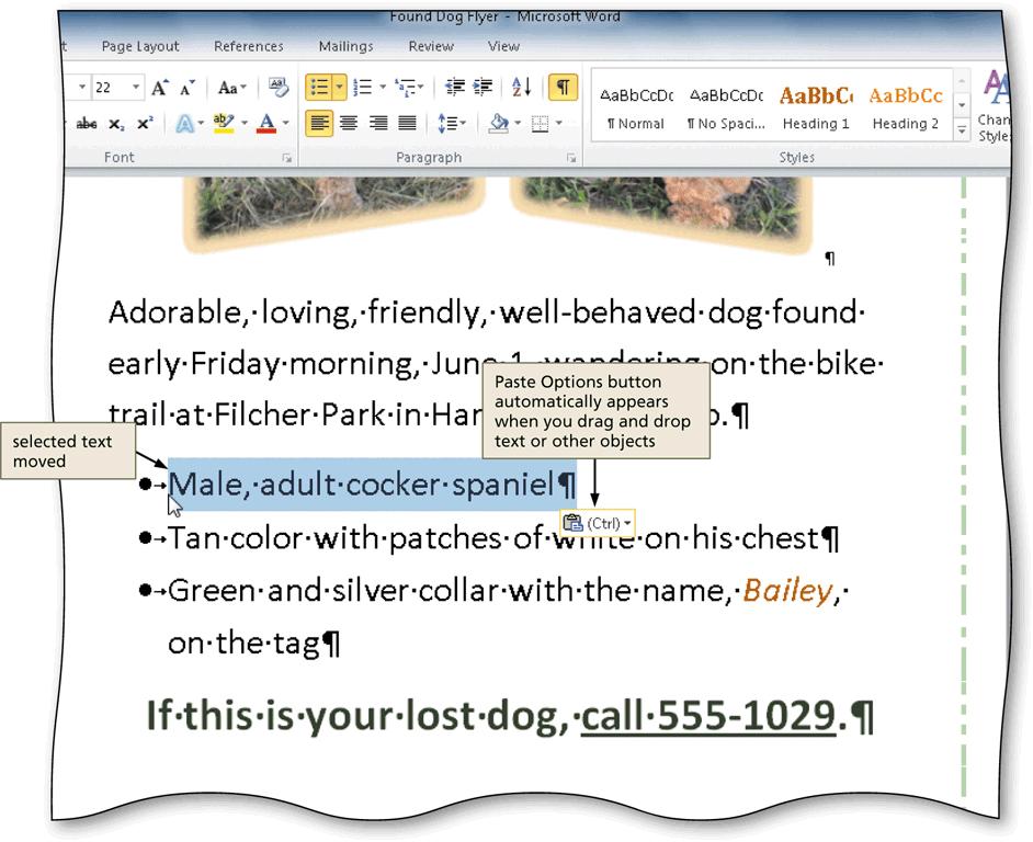 Moving Text Creating, Formatting, and