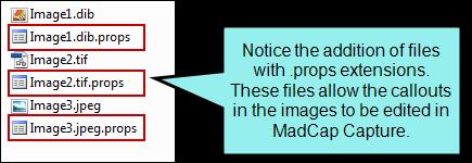 This means that you can open those image files in MadCap Capture to edit those callouts after the import process is completed.
