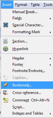 Step 7.3.2: Name your bookmark.
