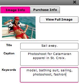 At the top of the Image Info window is an automatically generated thumbnail image of the selected image. This small preview image is displayed when visitors click on the Thumbnails icon on your site.