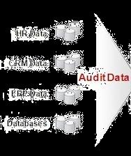 Sono collezionati centralmente Audit Data, Log audit, db