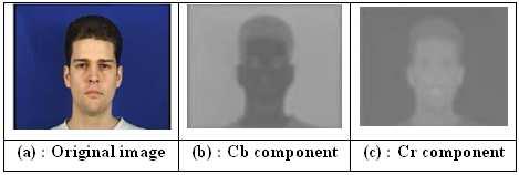 II. THE FACE DETECTION SYSTEM Face detection is a very important stage to start the step of face recognition. In fact, to identify a person, it is necessary to localize his face in the image.
