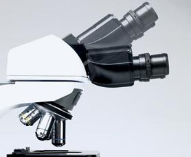 A tilting, ergonomic head option allows the user to vary their viewing angle and is beneficial to laboratories in which many different people use the microscope.