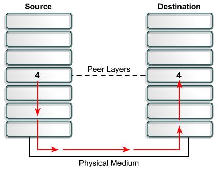 Layer Communication: In order for data packets to travel from a source to a destination on a network, it is important that all the devices on the network speak the same language or protocol.