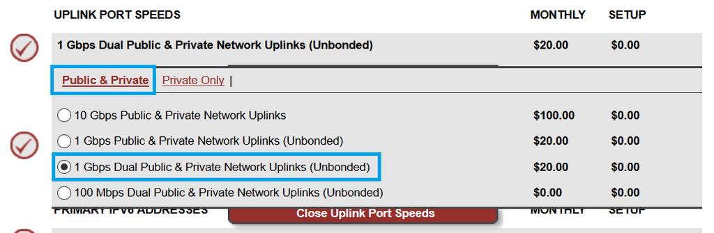 18. Under Network Options, select Public & Private > 1Gbps Dual Public & Private Network Uplinks