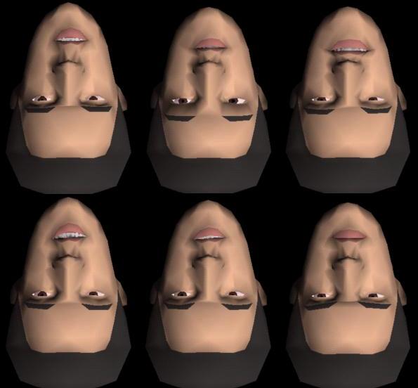 Definition parameters allow detailed definition of body/face shape, size and texture. Animation parameters allow to define facial expressions and body postures.
