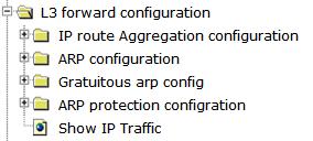 there are "IP route Aggregation configuration", "ARP configuration", "Gratuitous ARP config", "ARP protection configuration", "Show IP Traffic", configuration web pages. 4.17.