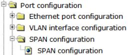4.3.3 SPAN configuration.