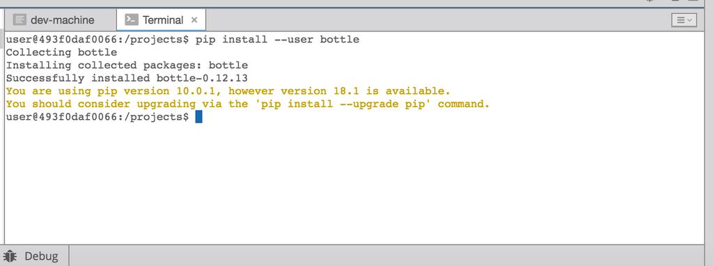 Web Server: Bottle To use bottle you'll have to install it in your Python workspace on Codenvy Click the terminal tab near the bottom of the